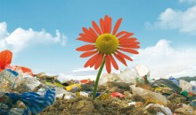 Illsutration déchets