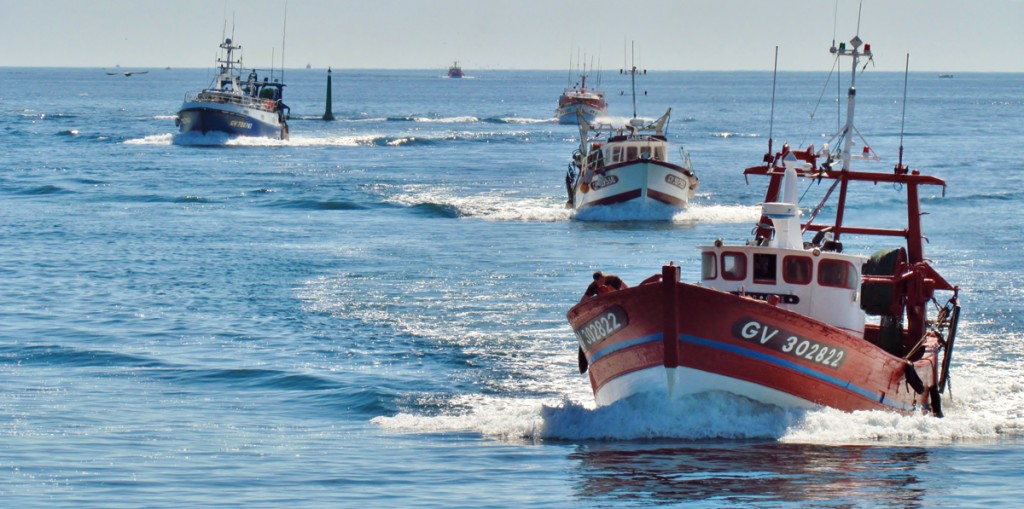 Retour de bateau. Port du Guilvinec. ©Le_Baillif