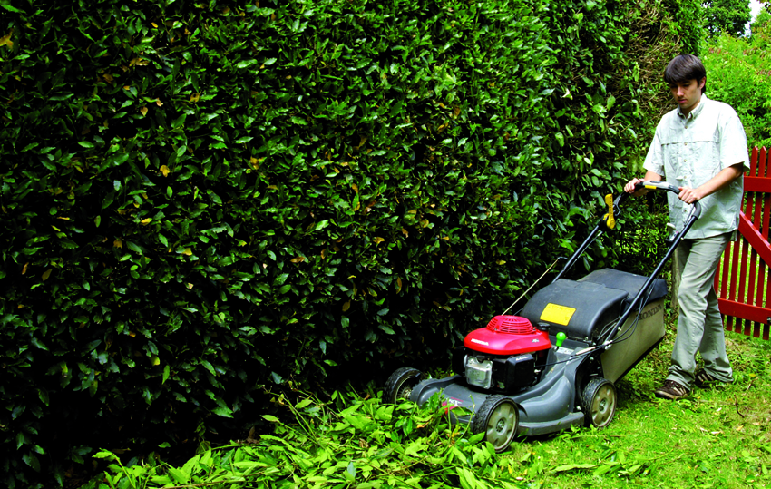 Broyage déchets verts