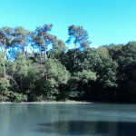 Forêt de Bodillo en bordure de la rivière de Pont-l'Abbé
