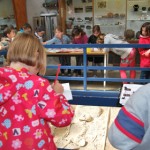 Visite archéologique de l'école Saint-Joseph de Quimper au musée de la Préhistoire finistérienne