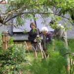 Bienvenue au jardin