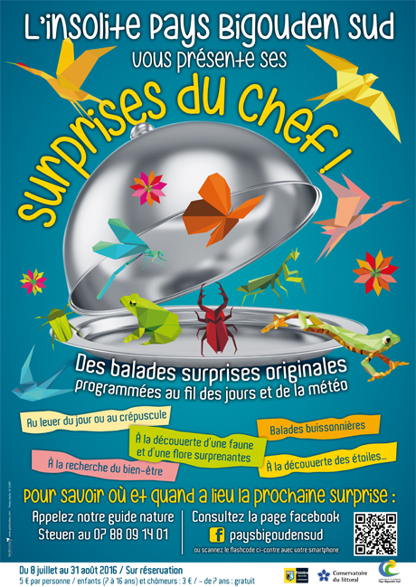 Affiche pour les surprises du chef 2016 (r) gedezailes