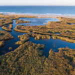 Zone humide - baie d'Audierne