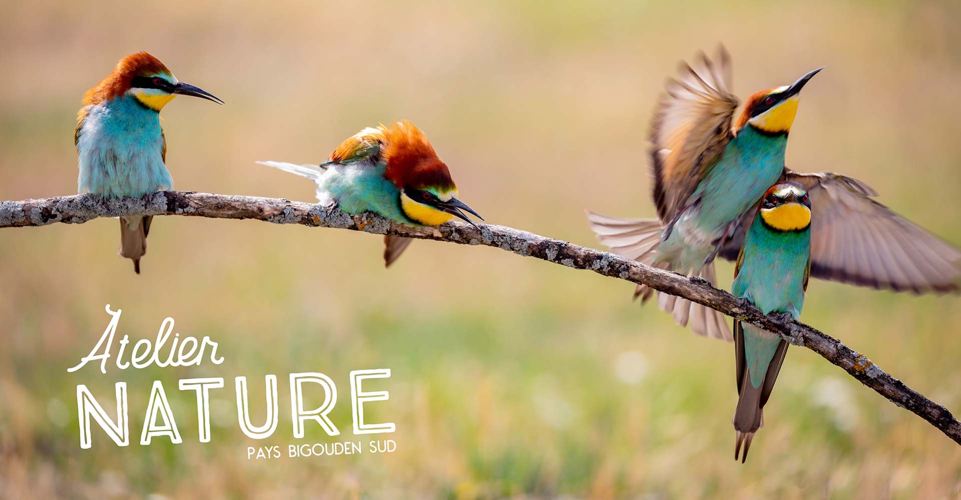 LES RENDEZ-VOUS NATURE - DÉCEMBRE 2021