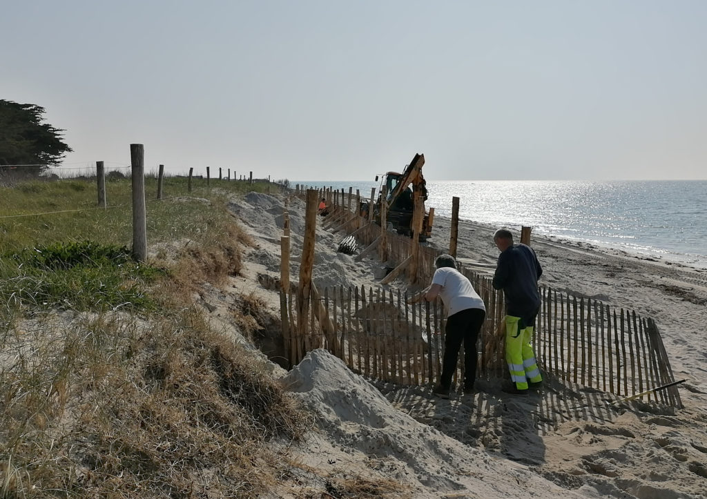 Travaux lutte contre érosion dunaire