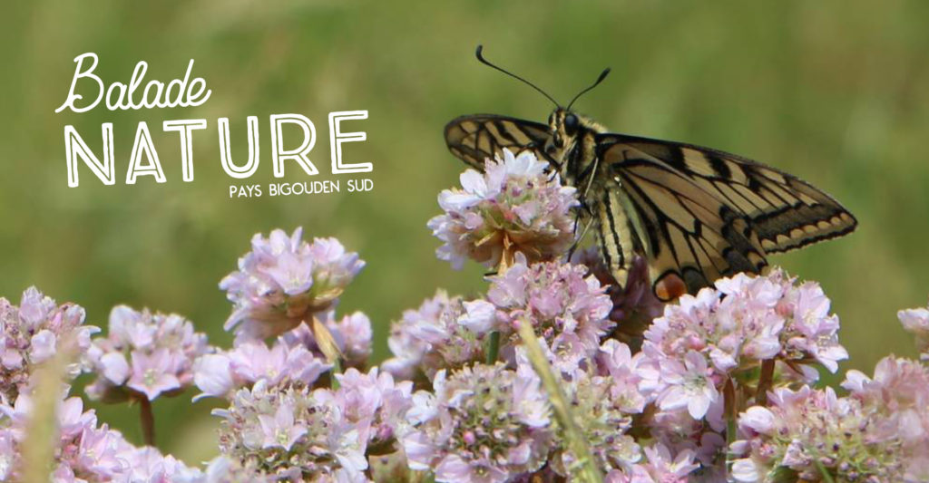 LES RENDEZ-VOUS NATURE - Printemps 2022